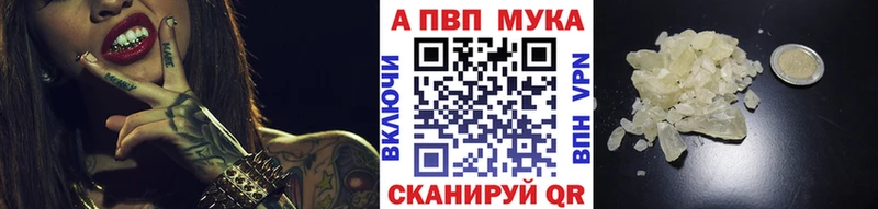 OMG сайт  сколько стоит  Власиха  Альфа ПВП СК 